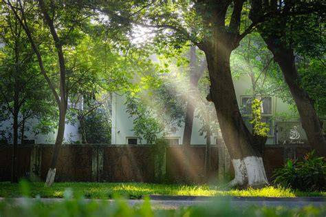 Không gian yên tĩnh với ánh sáng tự nhiên – gợi nhịp hồi phục chậm và cân bằng của cơ thể